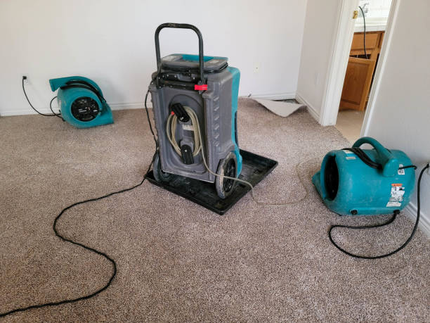 Local water damage restoration in GA