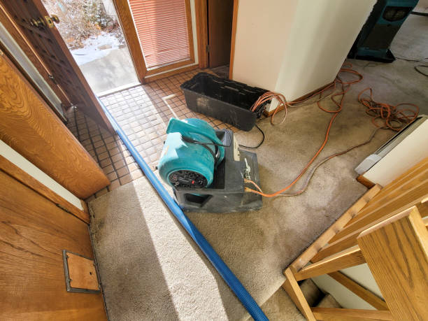 Best Basement water damage restoration  in Atlanta, GA