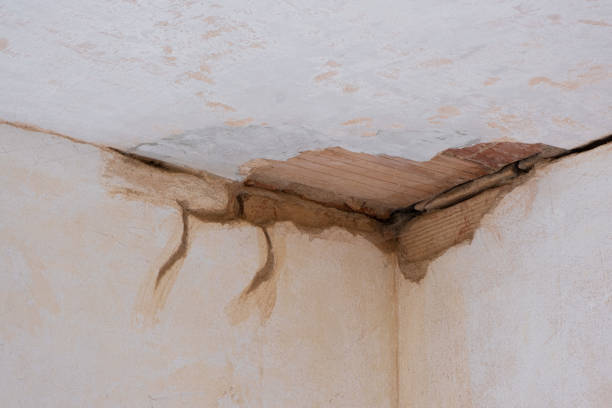 Best Basement water damage restoration  in Atlanta, GA