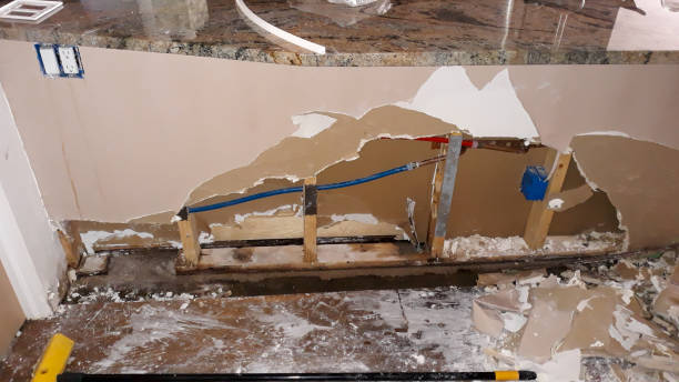 Best Mold removal after water damage  in Atlanta, GA