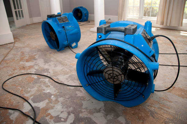Best Water damage cleanup near me  in Atlanta, GA