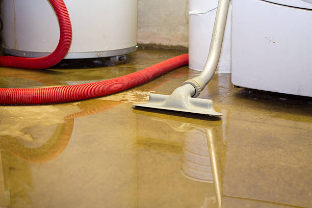Best Carpet water damage restoration  in Atlanta, GA