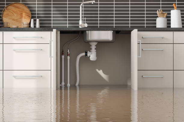 Best Flooded house restoration  in Atlanta, GA