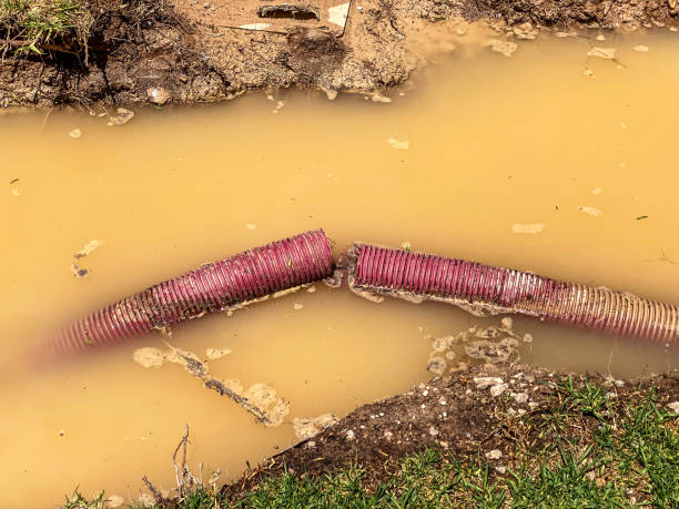 Best Local water damage restoration  in Atlanta, GA