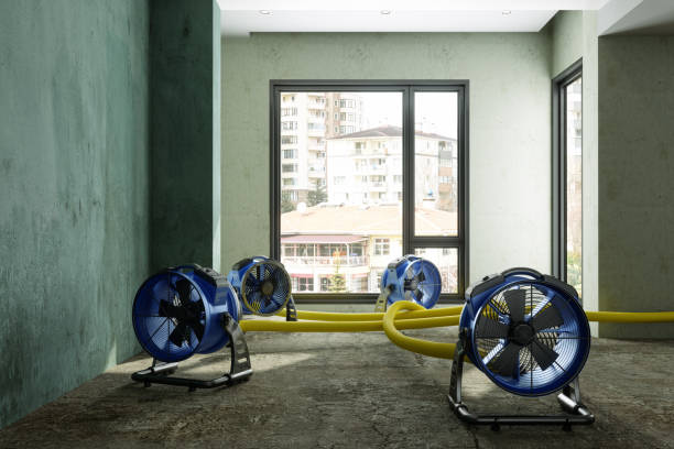 Best 24-hour water damage restoration  in Atlanta, GA